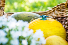 Load image into Gallery viewer, Aqua Sea Chamalis Decent collection